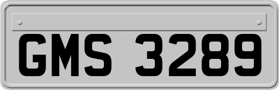 GMS3289