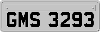 GMS3293