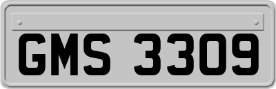 GMS3309