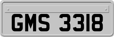 GMS3318