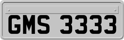 GMS3333