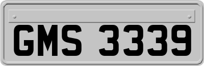 GMS3339