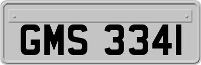 GMS3341