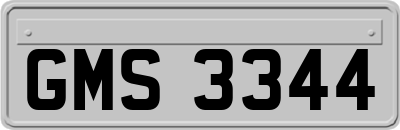 GMS3344