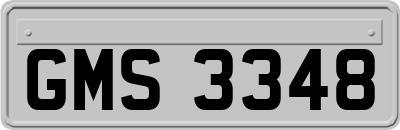 GMS3348