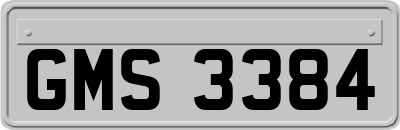 GMS3384