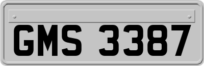 GMS3387