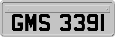 GMS3391