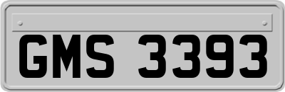 GMS3393