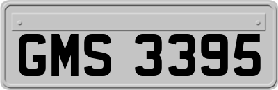 GMS3395