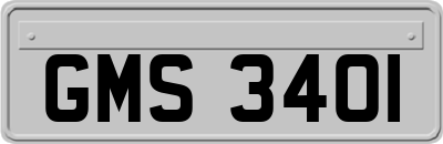 GMS3401