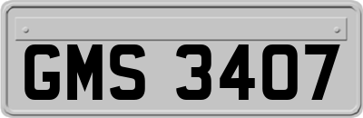 GMS3407