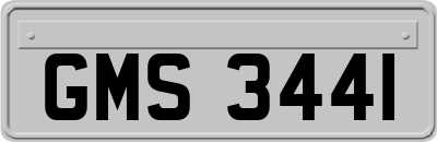 GMS3441