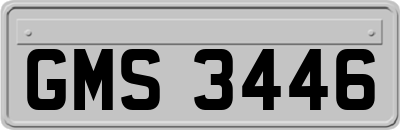 GMS3446