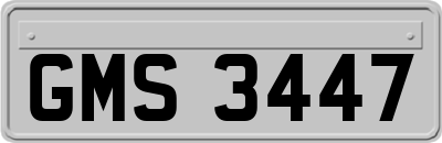 GMS3447