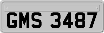 GMS3487