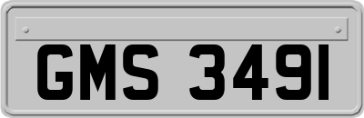 GMS3491