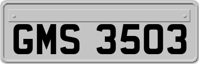 GMS3503