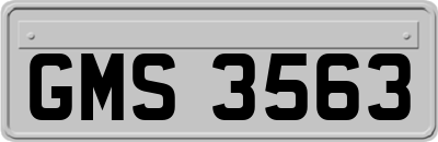 GMS3563
