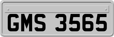 GMS3565