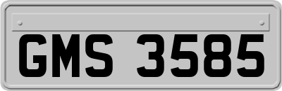 GMS3585