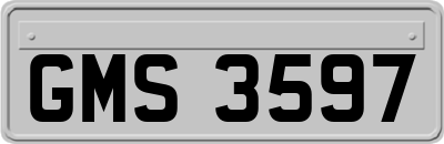 GMS3597