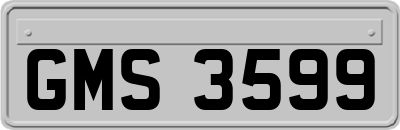 GMS3599
