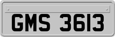 GMS3613