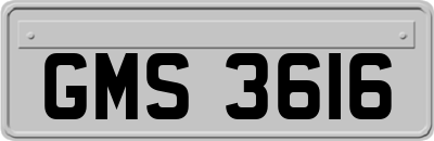 GMS3616
