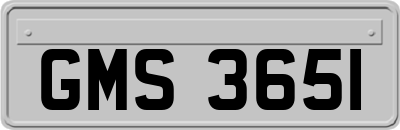 GMS3651