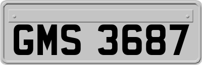 GMS3687