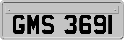 GMS3691
