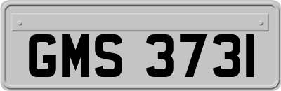 GMS3731