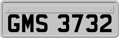 GMS3732