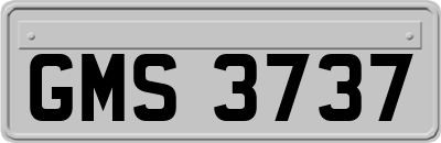 GMS3737