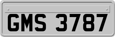 GMS3787