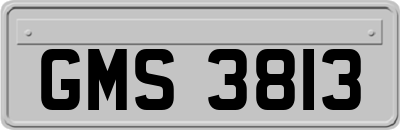 GMS3813