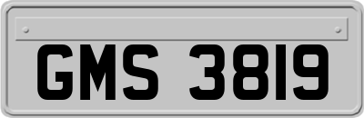 GMS3819
