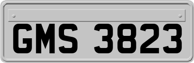 GMS3823