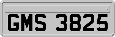 GMS3825