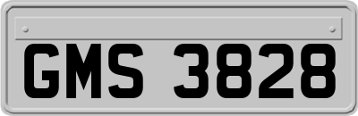 GMS3828