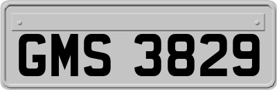 GMS3829