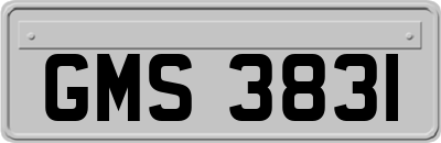 GMS3831