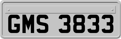 GMS3833