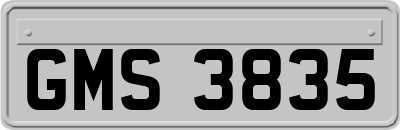 GMS3835