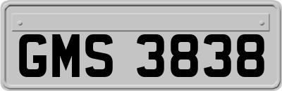 GMS3838