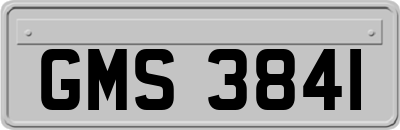 GMS3841
