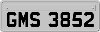 GMS3852