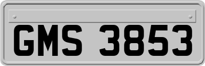 GMS3853