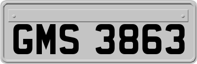 GMS3863